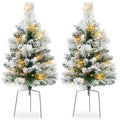 Set of 2 Pre-Lit Pathway Christmas Trees w/ Pine Cones Timer - 24.5in